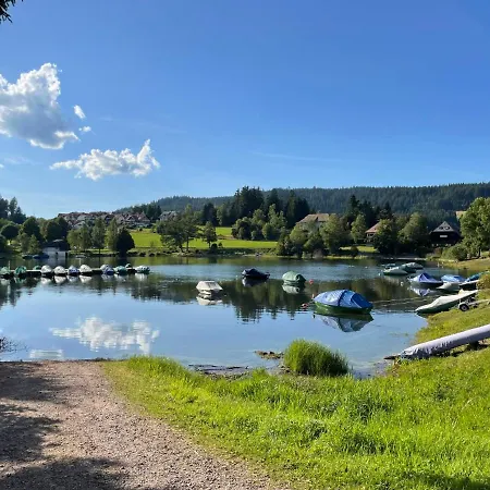 Schleuniger By Interhome Schluchsee