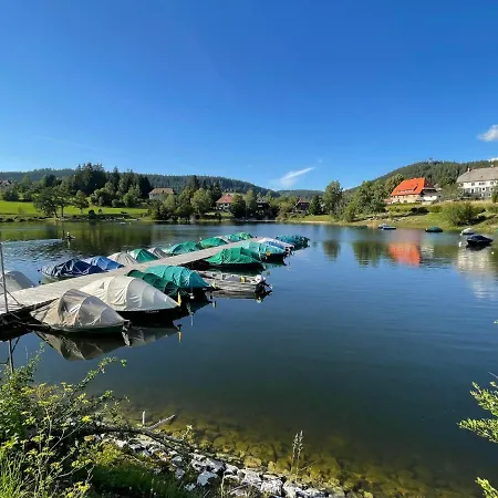 Schleuniger By Interhome * Schluchsee