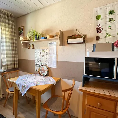 Schleuniger By Interhome Schluchsee